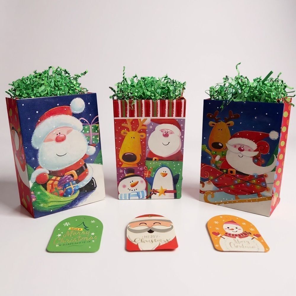W3. Festive Christmas Gift Bags Set